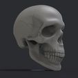 Prev.695.jpg 头骨 3D 打印模型