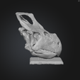 Captura-de-pantalla-2025-11-27-132548.png Protoceratops Skull
