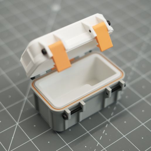 DSCF0868-min.jpg GoPro Hero Case (fits Hero 9/10/11/12/13)