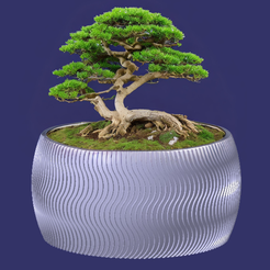 plantersxcults-5-bonsai.png Free STL file Plant pot II・3D print model to download