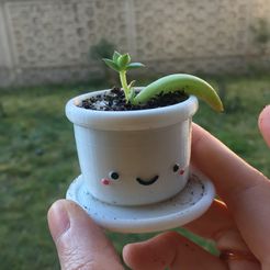 A07066C8-F0A5-4F9F-80A7-224038D94D35.jpeg STL file more cute pot succulent planter・Model to download and 3D print
