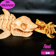 flexisharkskeleton4.png Flexi Skeleton Shark