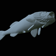 Bass-mount-statue-45.png fish Largemouth Bass / Micropterus salmoides open mouth statue detailed texture for 3d printing