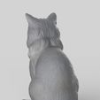 gatome10.jpg Realistic Mongrel Cat