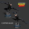 2side.jpg Catwoman stylized