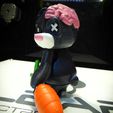 WhatsApp-Image-2022-06-02-at-7.26.06-AM-1.jpeg ZOMBIE RABBIT