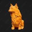 689-Australian_Terrier_Pose_06.jpg Australian Terrier Dog 3D Print Model Pose 06