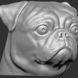 14.jpg Pug head for 3D printing