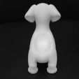 Cod241-Dog-Dachshund-Holder-9.jpeg Dog dachshund Holder