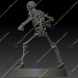 4.jpg Skeleton Bone Set.