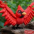 f.jpg Print In Place Cute Flexi Cardinal Bird