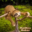 SlothOutside-7-copy.jpg Sloth plus Tree display, Articulated fidget figure, 3mf included