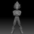 vegetafront.jpg Vegeta kollarını kavuşturdu.
