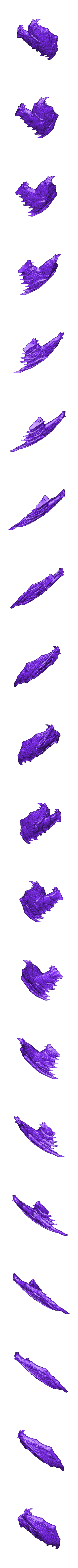 Forest_drake_right_wing.stl Forest drake