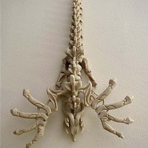 tempImagegtyEfp.jpg SKELETON WYVERN, FLEXI PRINT IN PLACE MODEL
