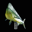 my_project-1-21.png mahi mahi / dorado / common dolphinfish underwater statue detailed texture for 3d printing