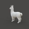 Llama_1.3.jpg Lama Tier
