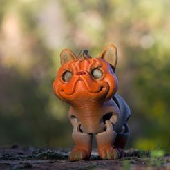 IMG_2554.jpg STL file Pumpkin dog the flexi print in place dog toy Halloween collection 2022・3D print object to download