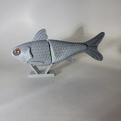 Musky best 3D printer files・41 models to download・Cults