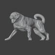 gorsel_2025-12-31_053319820.png Attacking Anatolian Shepherd Dog (Kangal) - 2 version