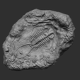 11.png Trilobite Mineral Fossile - Realistic Printable and Keychain