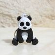 IMG_8156.jpg PANDA