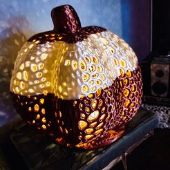 20211014_182948.jpg Free STL file Voronoi Pumpkin Lamp・Template to download and 3D print