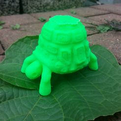 picture (8).jpg Free STL file Tortoise・3D printer design to download