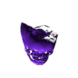 skull.stl Fetus infant skeleton