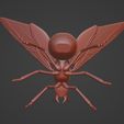 10.jpg Winged Ant