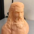FBD7CBE5-1DF7-4D7C-B767-557A4986C615.jpg Gandalf the Grey Bust (LOTR) with optional hat
