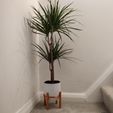 With Plant.jpg Modern Plant Pot Stand - Stylish, Contemporary