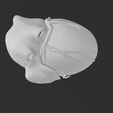 imagen_2023-07-29_173635207.png Magnetic anatomical human heart