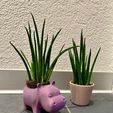 WhatsApp-Image-2025-09-22-at-17.00.09.jpeg Little Hippo