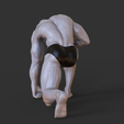 004.png Bodybuilder Pose