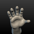 Hand-02.png Hand