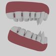 View3.jpg Animal Teeth 3D Model