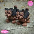 e.jpg Print In Place Cute Flexi Yorkshire Dog
