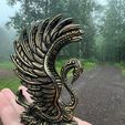 swan1.jpg Cisne