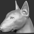1.jpg Bull Terrier dog for 3D printing