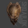 f8.jpg Predator Falconer mask