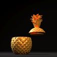3.10009.jpg Pineapple box