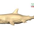 Megalodon-pose-1-6.jpg Ancient Ocean Creature Megalodon 3D sculpting printable model