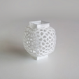Capture_d__cran_2014-10-14___11.53.58.png Voronoi Wind Vase 1