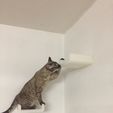 IMG_0995.JPG cat step stairway - concealed wall mounting