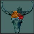 ETYET.jpg cow skull