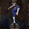 z-5.jpg Chun Li - Street Fighter - Collectible