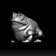 f3.jpg Horned Frog (HighQuality)