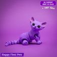 7.jpg Sphynx cat - articulated flexi toy (#15)