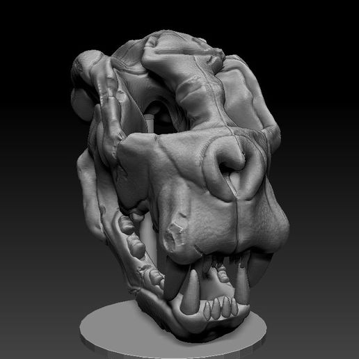 tijgerskull.jpg 虎骨